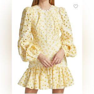 Acler Walker Embroidered Cotton Mini Dress, wore once